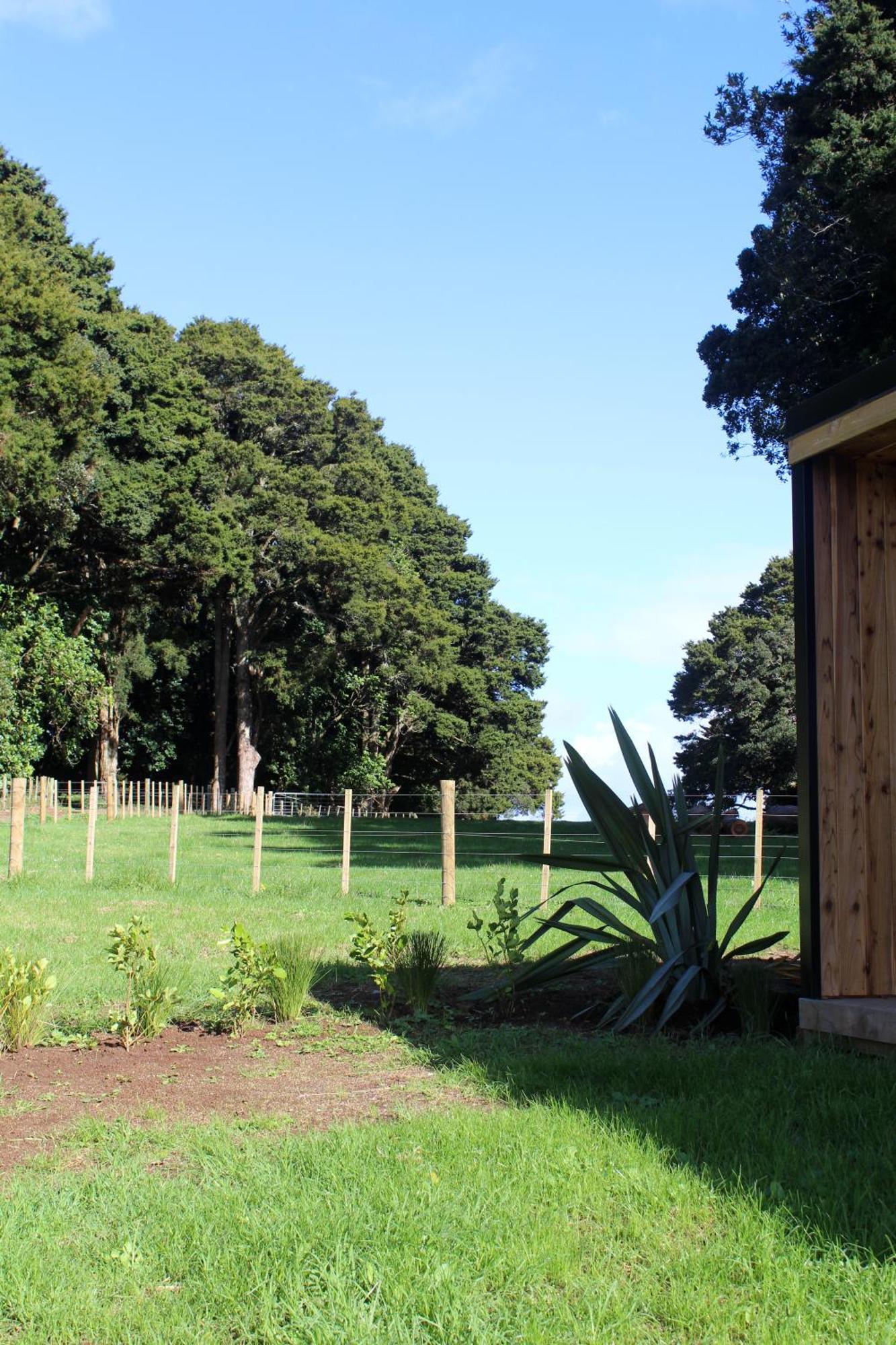 Highlander - * Whangarei